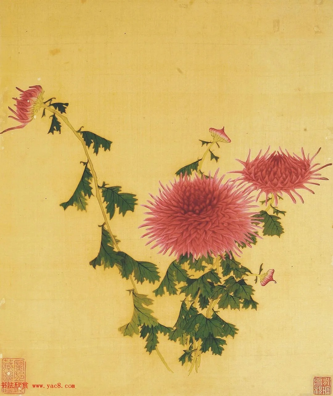 清代书法家湛畗书《菊谱》册页（高清大图） 历代书法 第9张