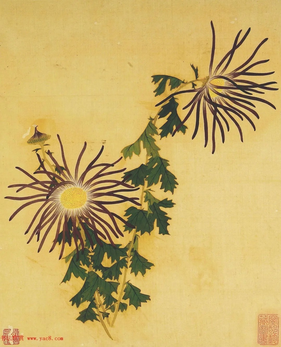 清代书法家湛畗书《菊谱》册页（高清大图） 历代书法 第7张