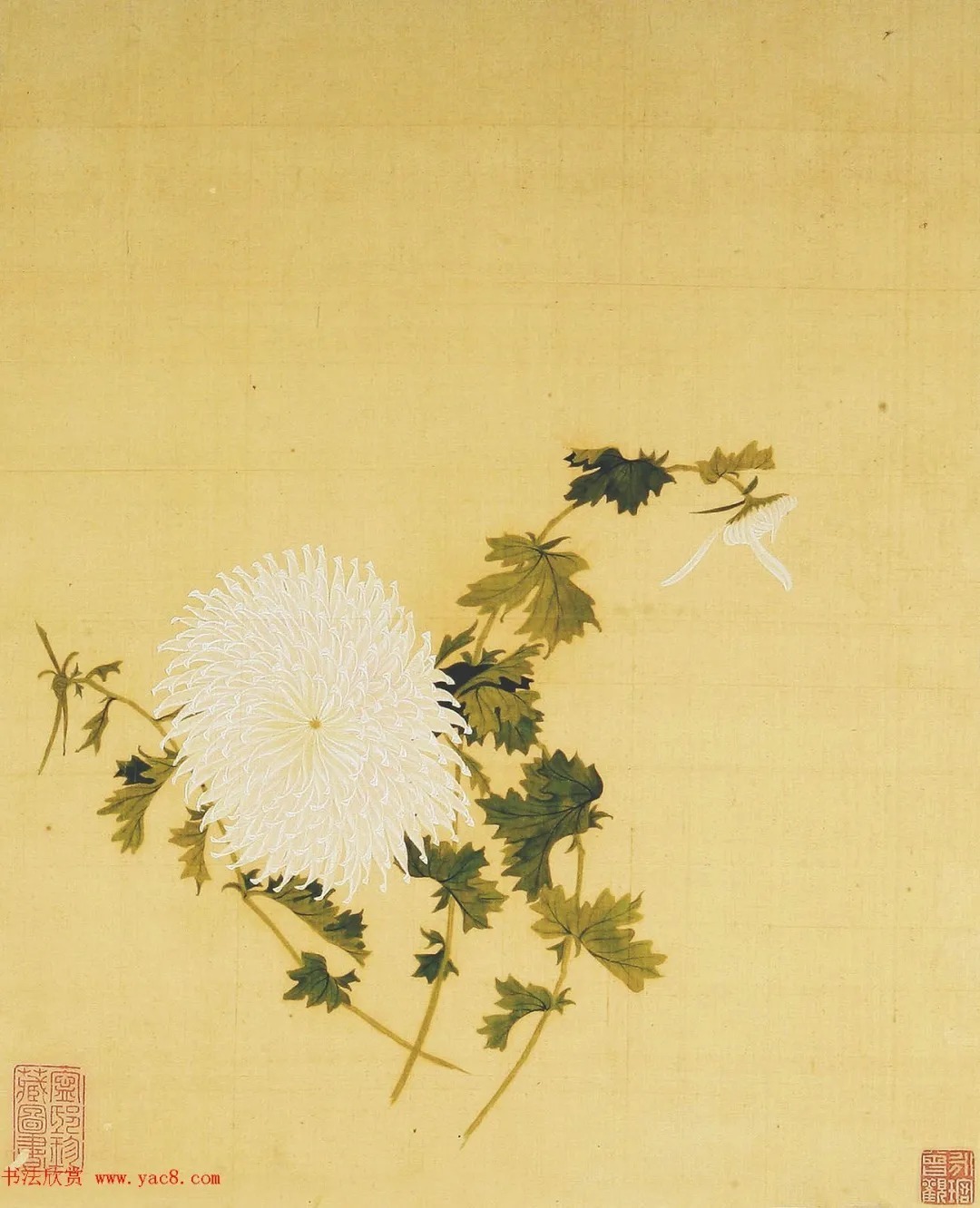 清代书法家湛畗书《菊谱》册页（高清大图） 历代书法 第25张