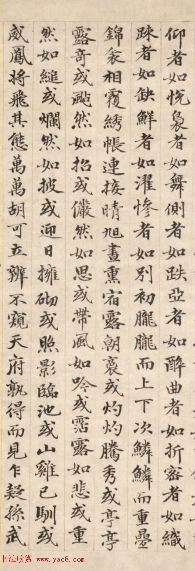 元代李升书法《牡丹赋》 历代书法 第2张-墨韵书香 元代李升书法《牡丹赋》 历代书法 第2张