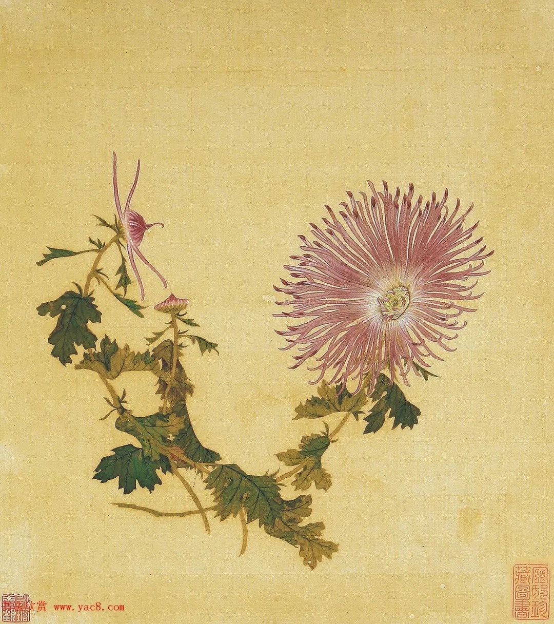 清代书法家湛畗书《菊谱》册页（高清大图） 历代书法 第23张