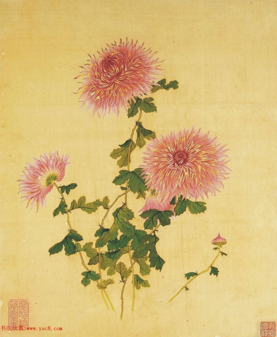 清代书法家湛畗书《菊谱》册页（高清大图） 历代书法 第19张