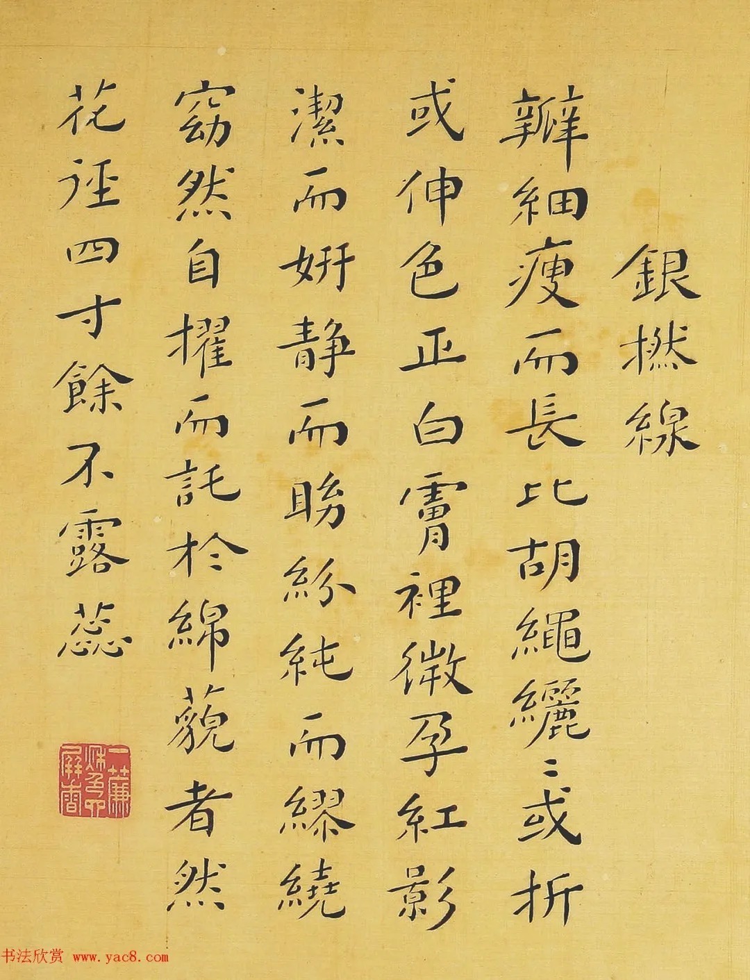 清代书法家湛畗书《菊谱》册页（高清大图） 历代书法 第14张