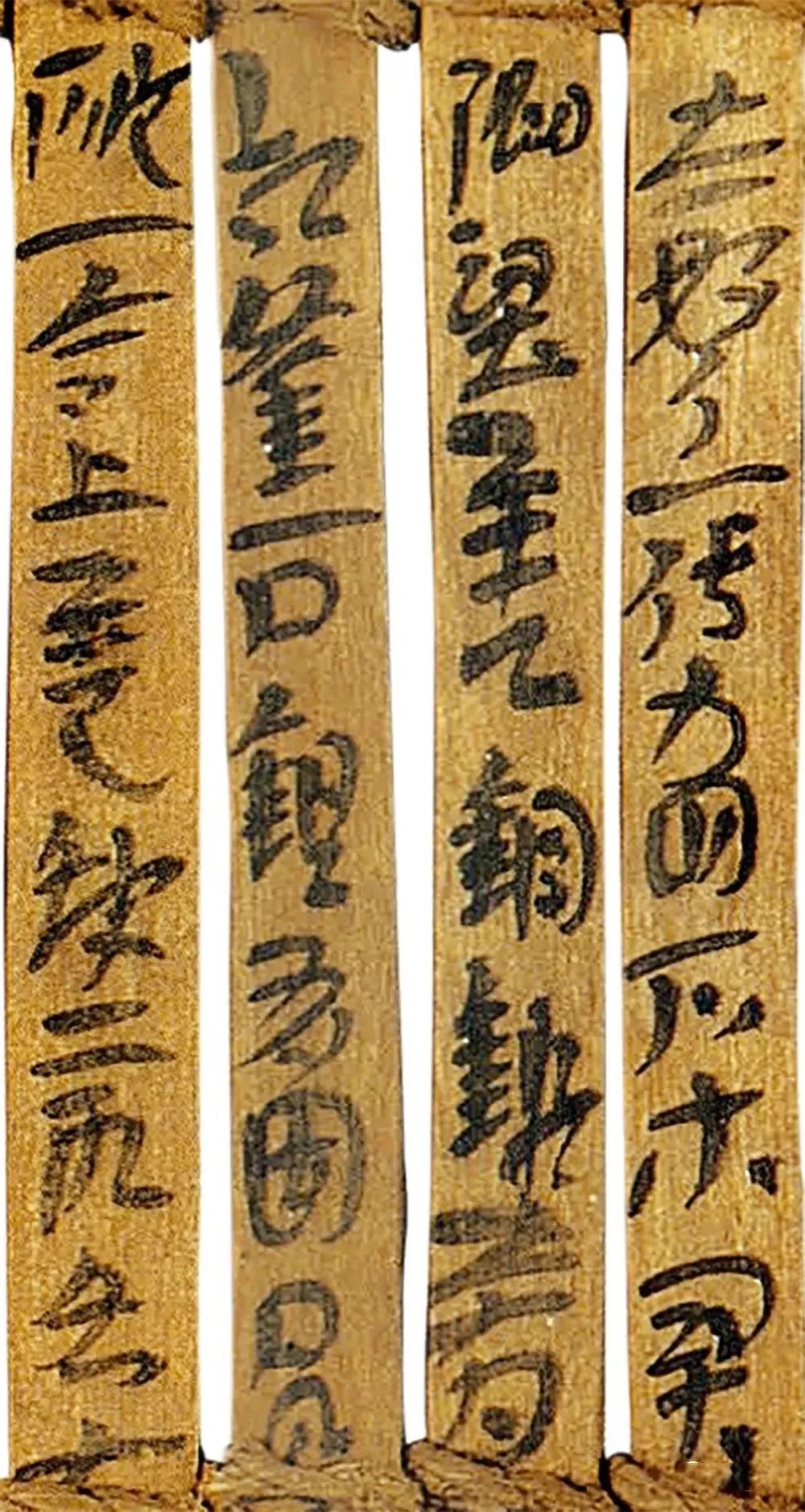 东汉草书简牍《永元器物簿》 历代书法 第12张