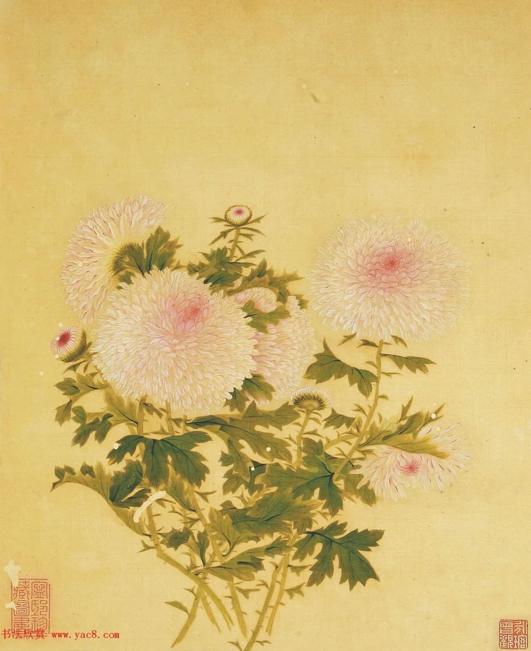 清代书法家湛畗书《菊谱》册页（高清大图） 历代书法 第15张