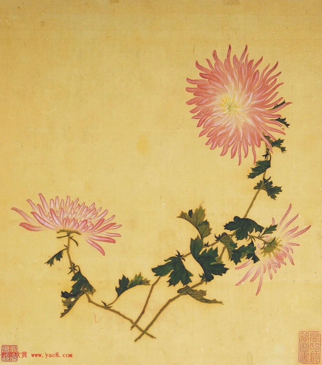 清代书法家湛畗书《菊谱》册页（高清大图） 历代书法 第5张