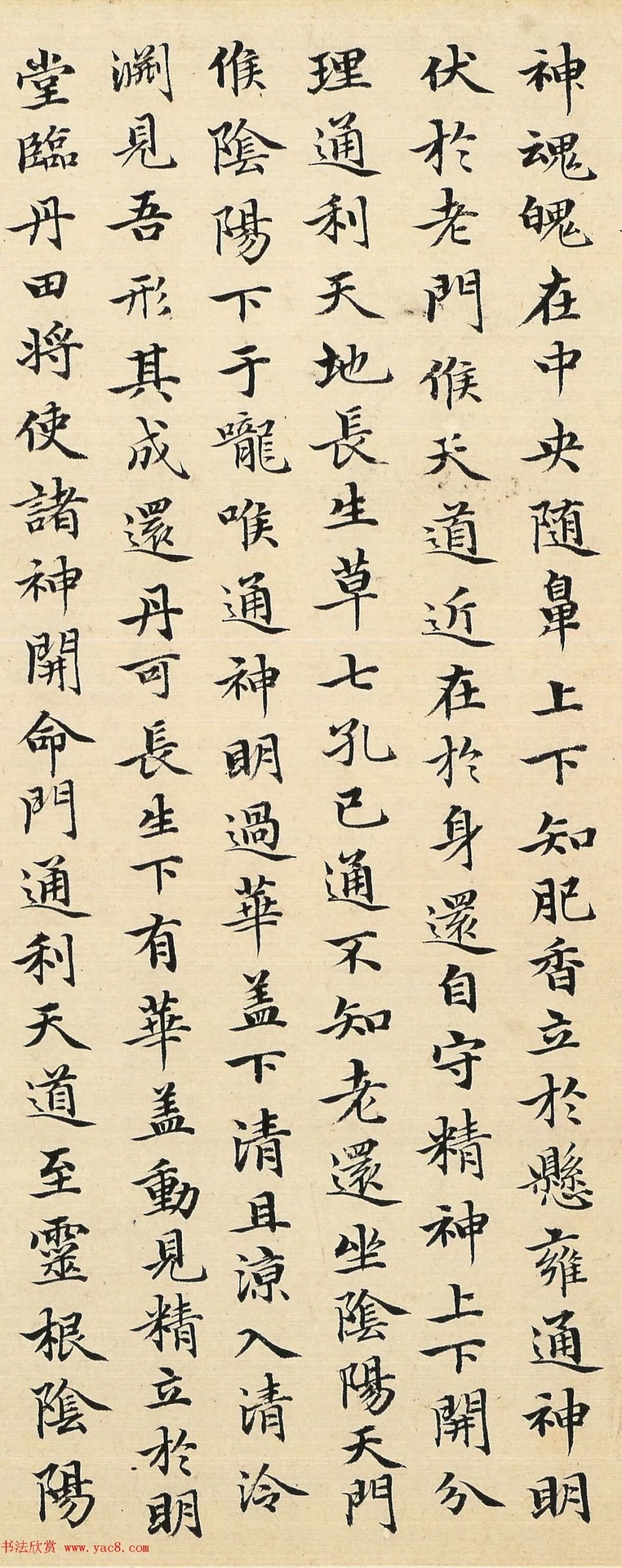 赵孟頫48岁小楷临《黄庭经》(高清) 历代书法 第8张-墨韵书香 赵孟頫48岁小楷临《黄庭经》(高清) 历代书法 第8张