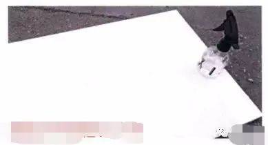 工笔画的撞、揉、喷、洗技法教程 书画知识 第14张