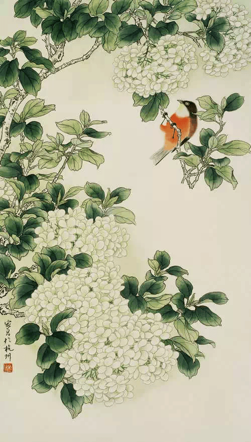 花鸟画如何创新？要从四个方面入手 书画知识 第6张