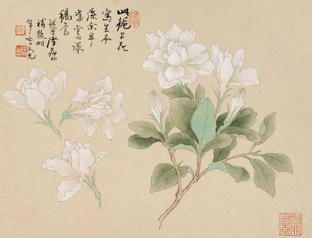 作画应“取，舍，借，变” 书画知识 第142张