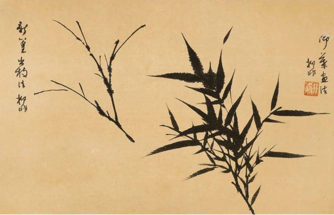 作画应“取，舍，借，变” 书画知识 第110张