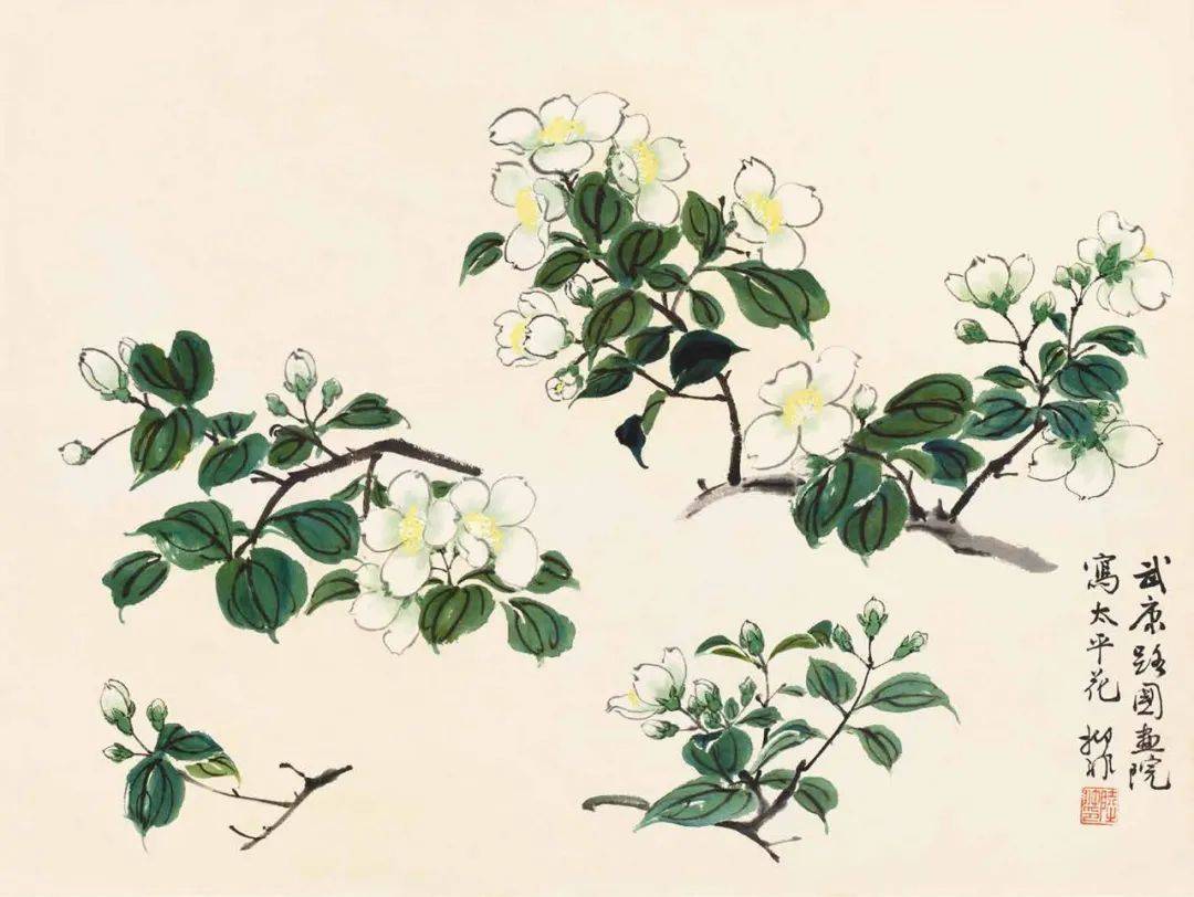 作画应“取，舍，借，变” 书画知识 第95张