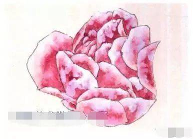 工笔画的撞、揉、喷、洗技法教程 书画知识 第12张