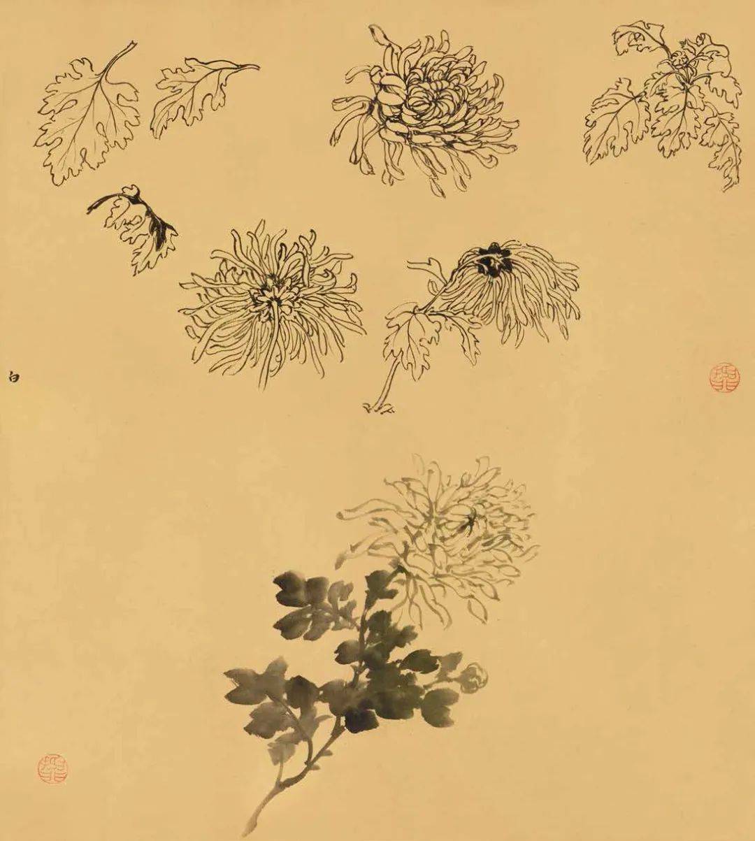作画应“取，舍，借，变” 书画知识 第159张