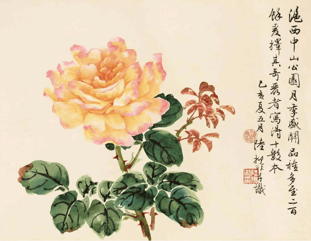 作画应“取，舍，借，变” 书画知识 第26张