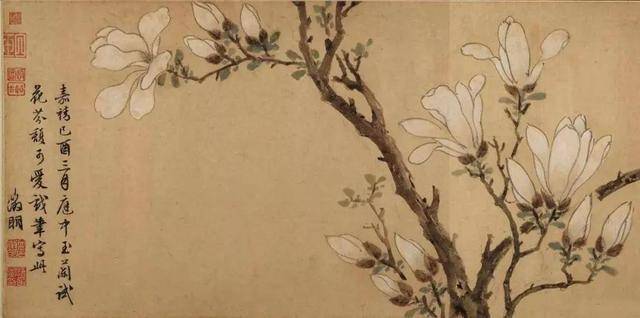 陈淳花鸟画：畅情抒意、恣肆豪放 名人名家 第32张