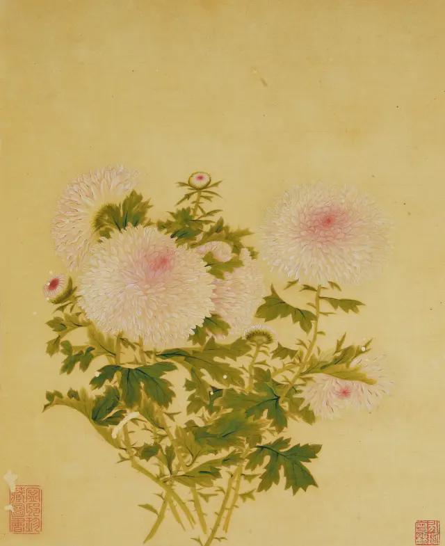 王延格：彩绘菊谱图册 名人名家 第23张