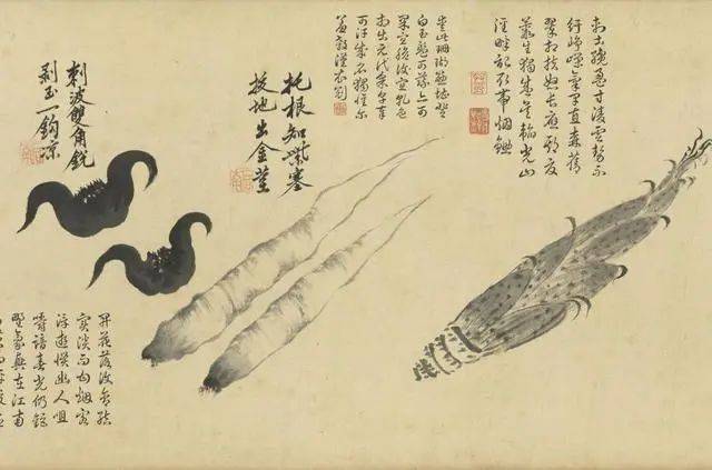 沈周：笔参造化，写生卷中见真章 名人名家 第13张