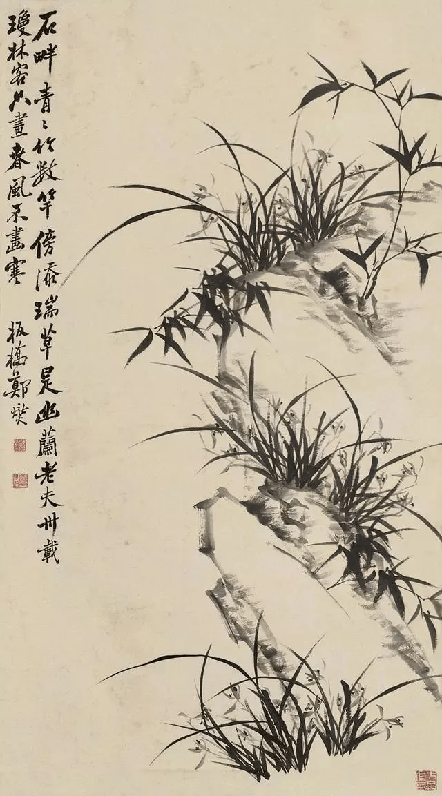 郑板桥画兰，以草书之撇法运之 名人名家 第14张
