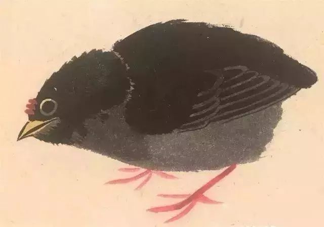 中国花鸟画画家张其翼绘画作品 名人名家 第10张
