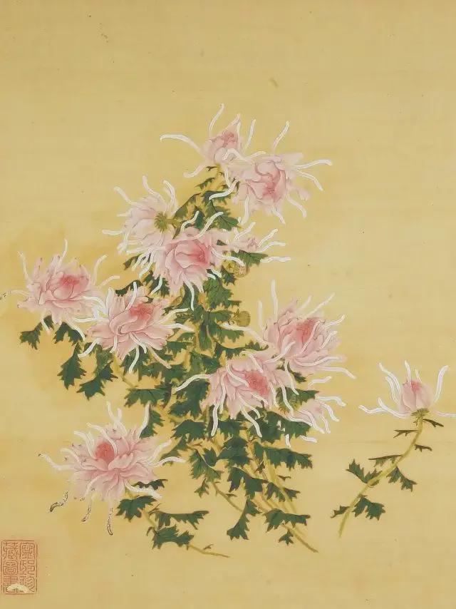 王延格：彩绘菊谱图册 名人名家 第32张