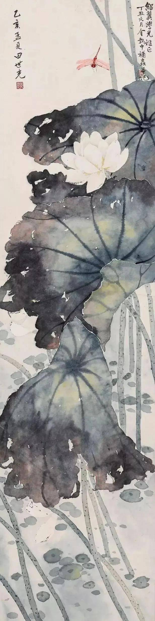 花鸟大师田世光画荷，太漂亮啦！ 名人名家 第18张