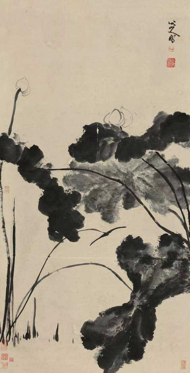 八大山人花鸟：面貌独特，笔墨取胜！ 名人名家 第29张