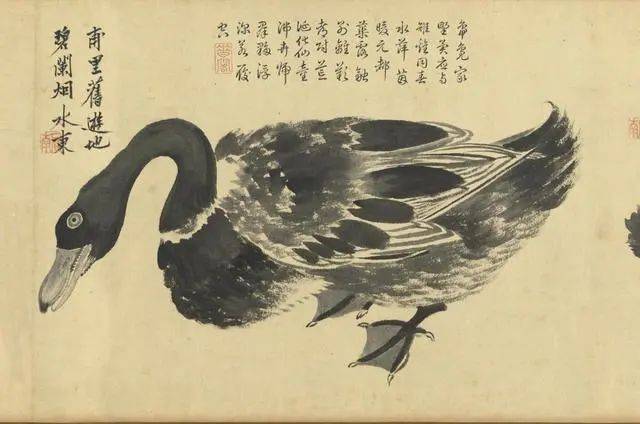 沈周：笔参造化，写生卷中见真章 名人名家 第21张
