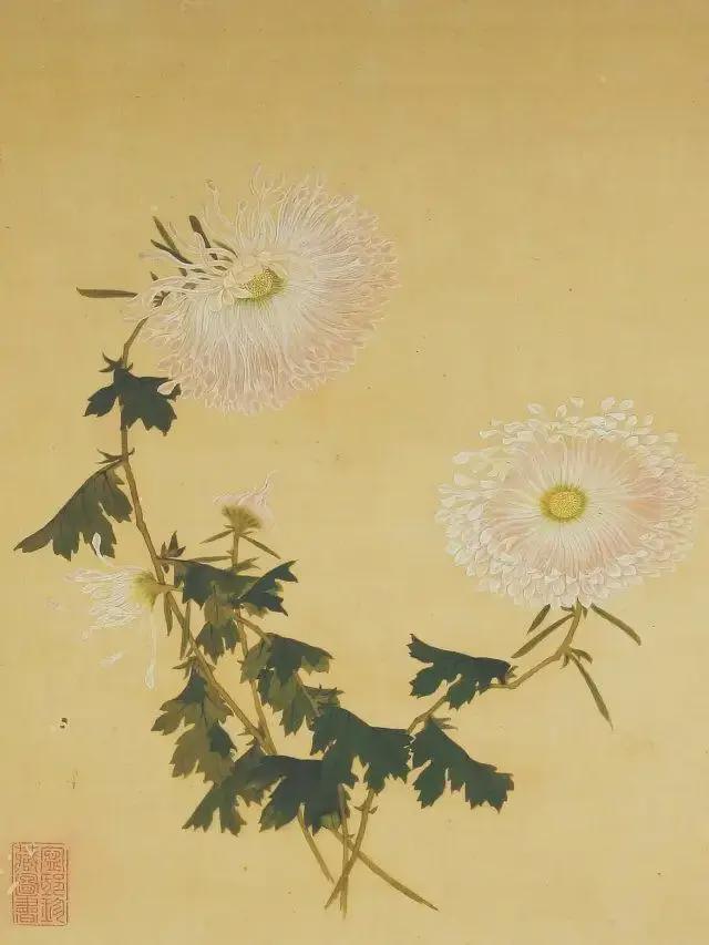 王延格：彩绘菊谱图册 名人名家 第44张