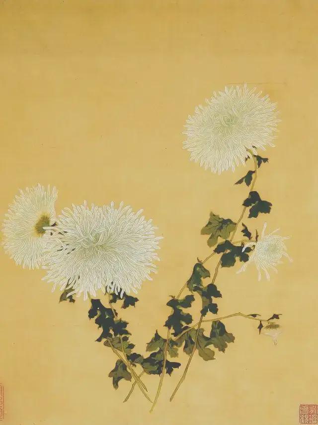 王延格：彩绘菊谱图册 名人名家 第38张