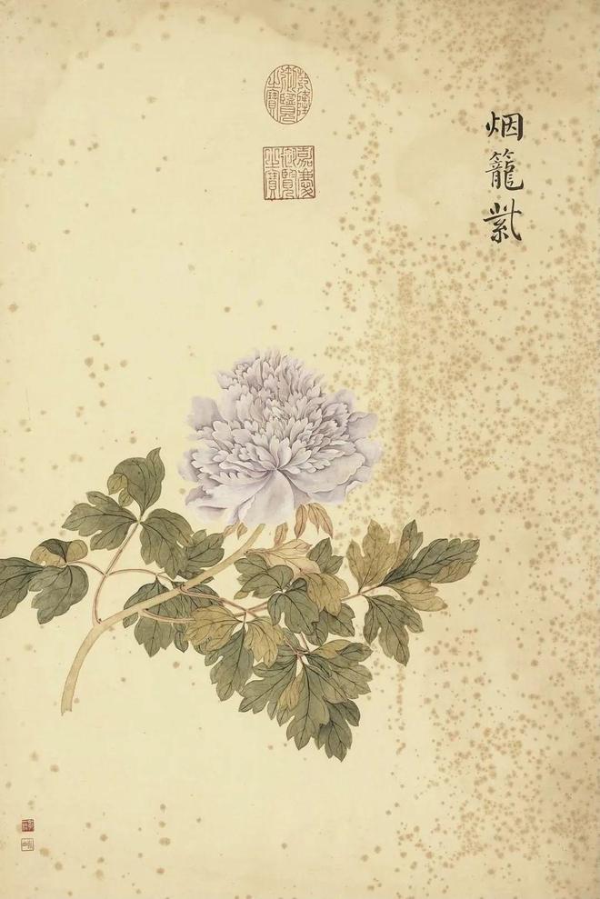 邹一桂：牡丹二十四品 名人名家 第39张