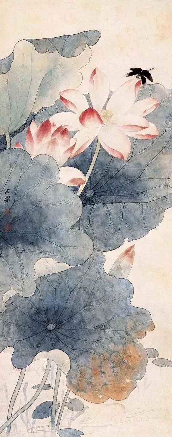 花鸟大师田世光画荷，太漂亮啦！ 名人名家 第17张