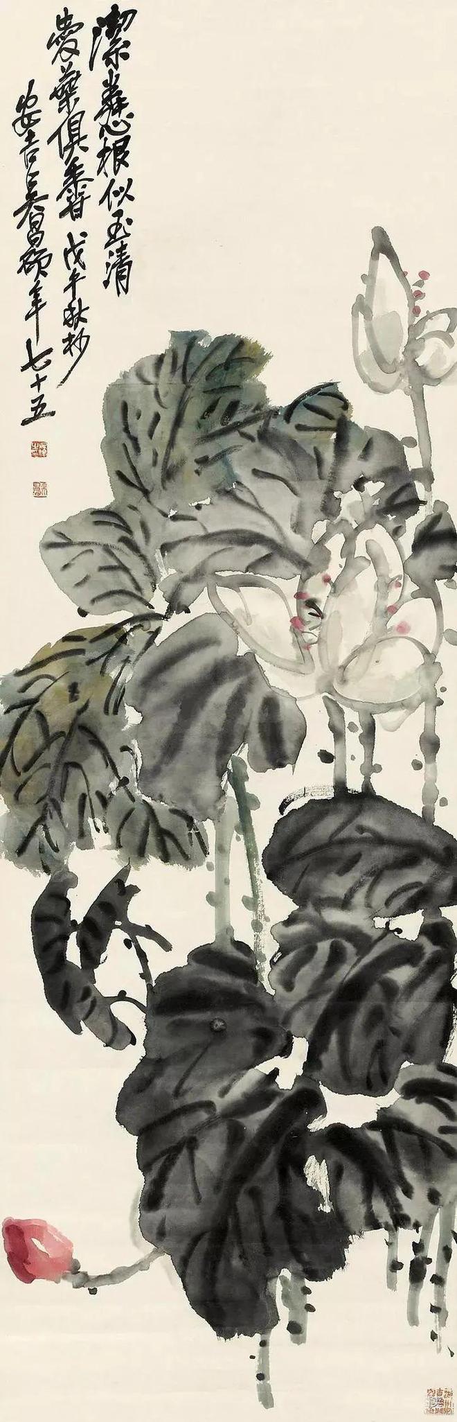 吴昌硕：画荷最忌呆黑 名人名家 第20张