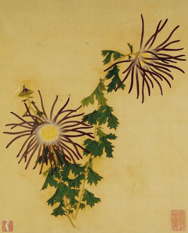 王延格：彩绘菊谱图册 名人名家 第7张