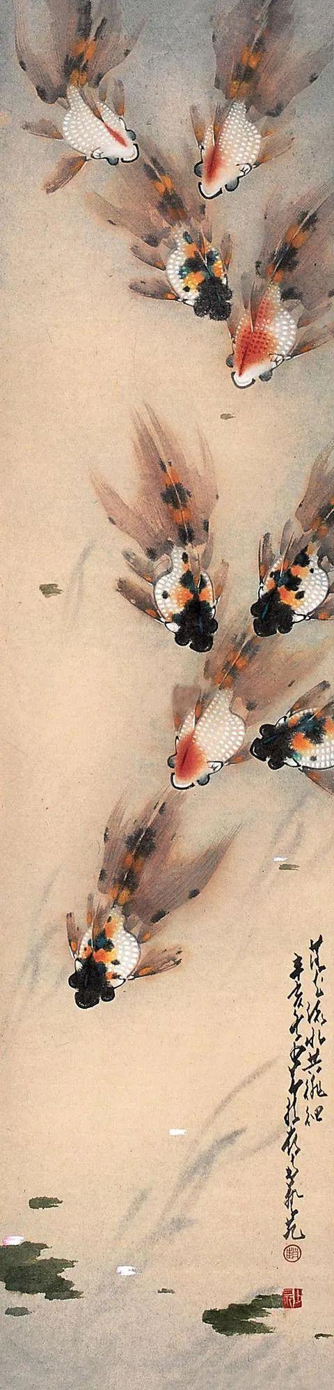 花鸟大师赵少昂，画鱼也精彩 名人名家 第7张
