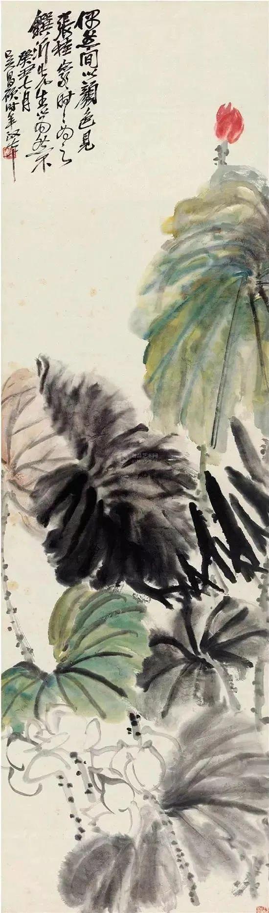 吴昌硕：画荷最忌呆黑 名人名家 第3张