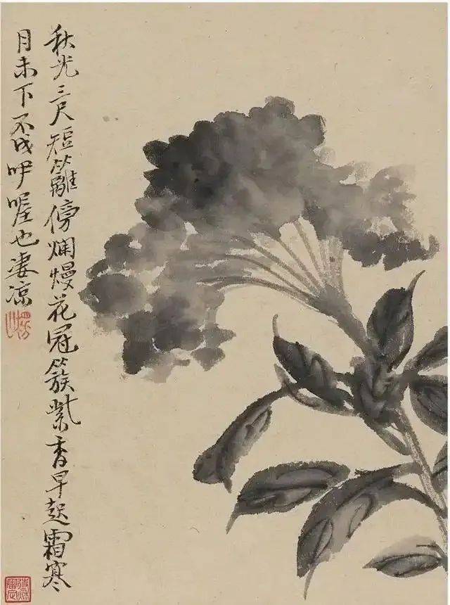陈撰:寥寥几笔的花卉，格调超逸 名人名家 第2张