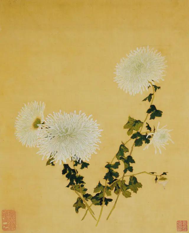 王延格：彩绘菊谱图册 名人名家 第25张