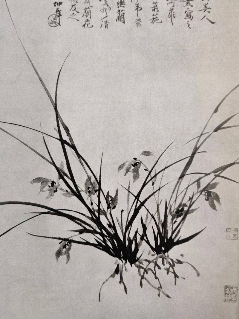 卢坤峰画兰 名人名家 第8张