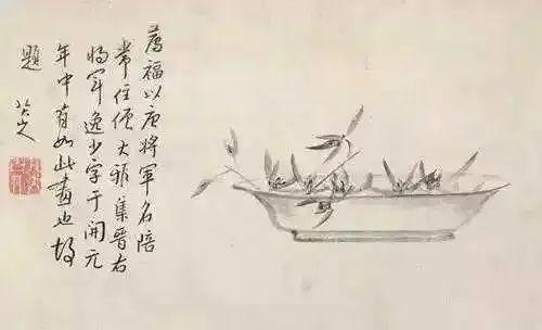 八大山人写兰，凝炼古拙 名人名家 第1张