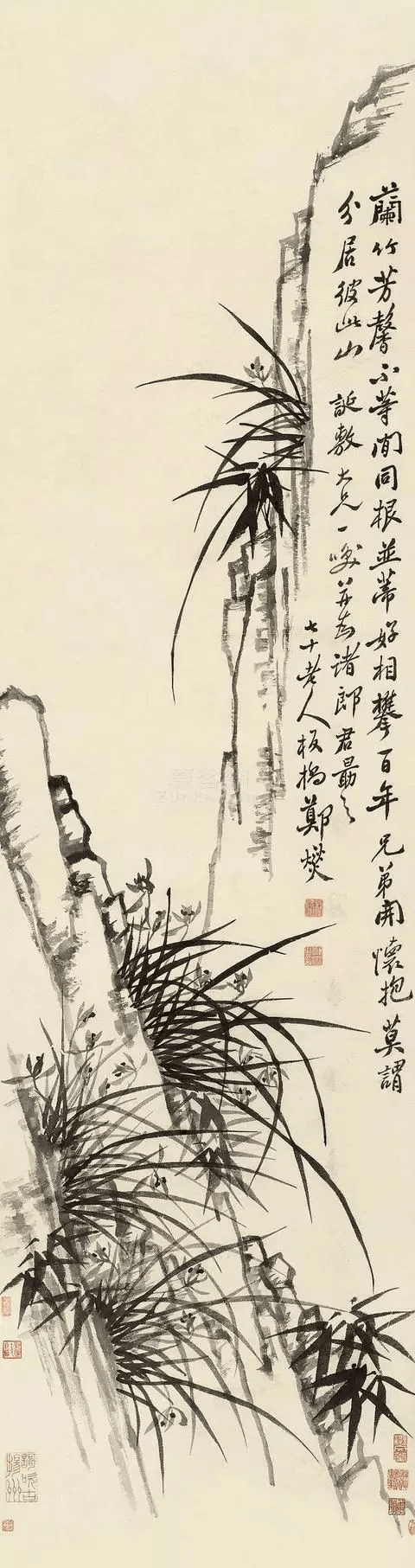 郑板桥画兰，以草书之撇法运之 名人名家 第16张