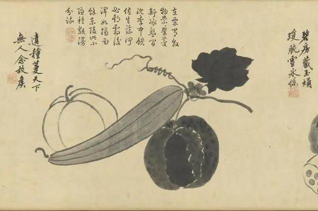 沈周：笔参造化，写生卷中见真章 名人名家 第9张