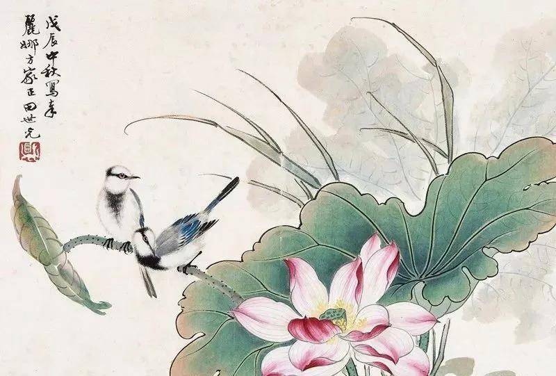 花鸟大师田世光画荷，太漂亮啦！ 名人名家 第8张