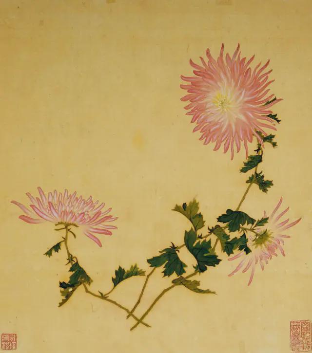 王延格：彩绘菊谱图册 名人名家 第11张
