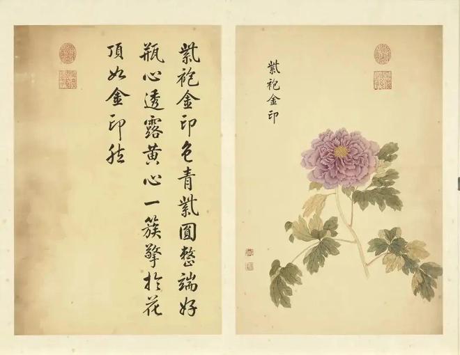 邹一桂：牡丹二十四品 名人名家 第61张