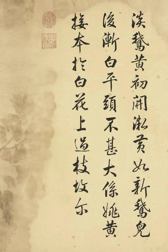 邹一桂：牡丹二十四品 名人名家 第29张