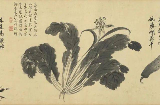 沈周：笔参造化，写生卷中见真章 名人名家 第16张