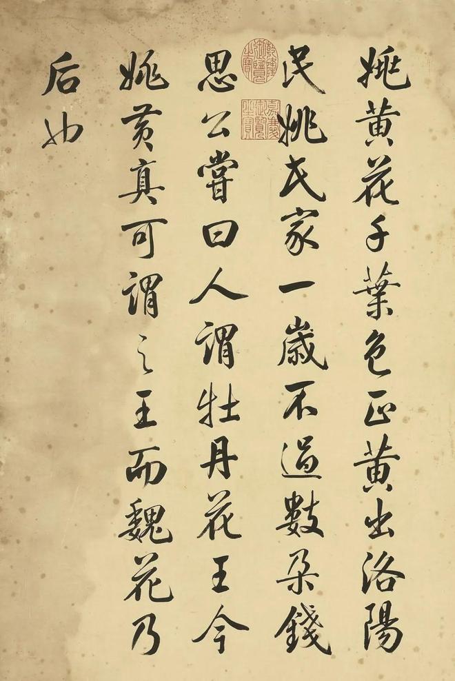 邹一桂：牡丹二十四品 名人名家 第2张