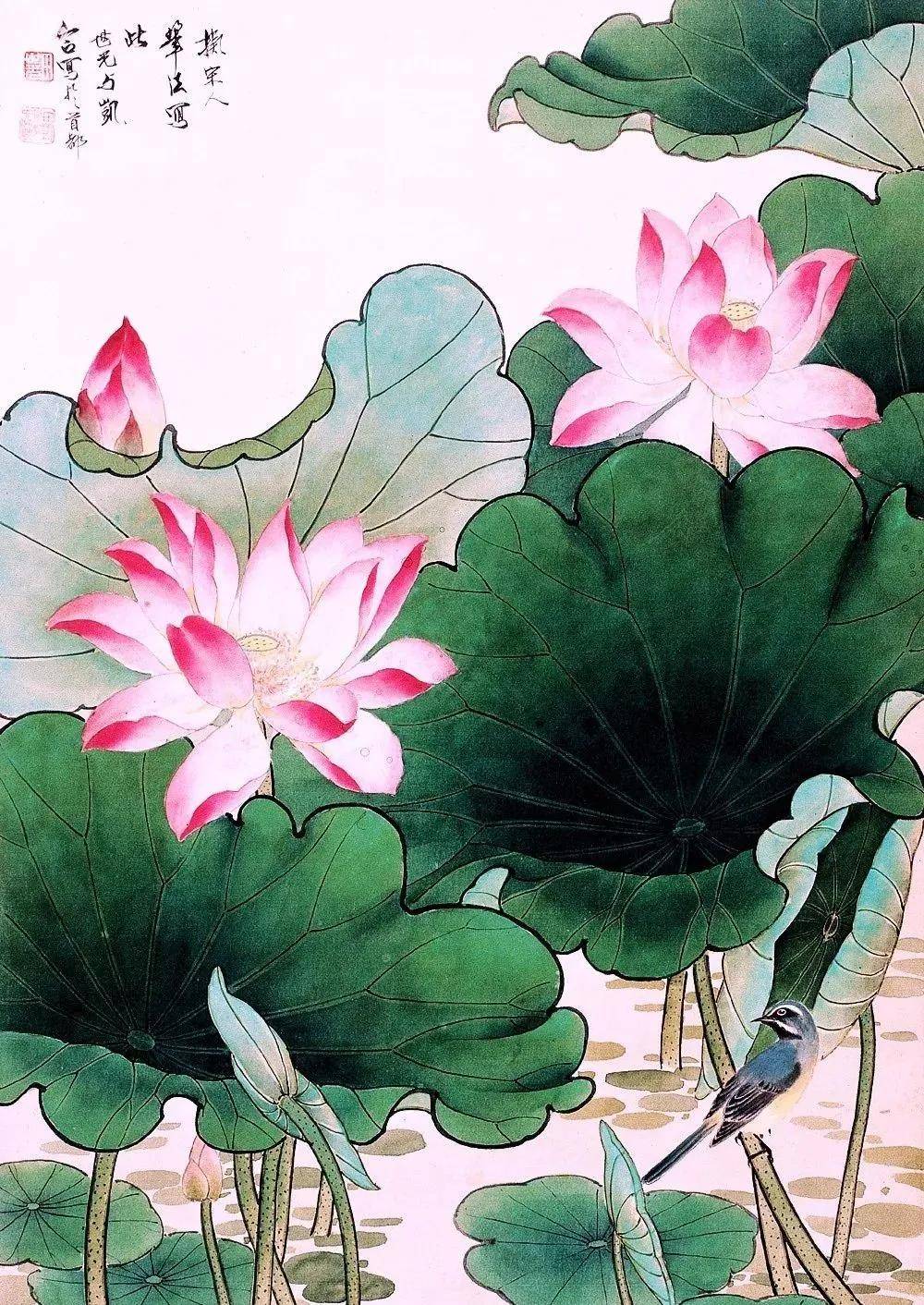 花鸟大师田世光画荷，太漂亮啦！ 名人名家 第2张