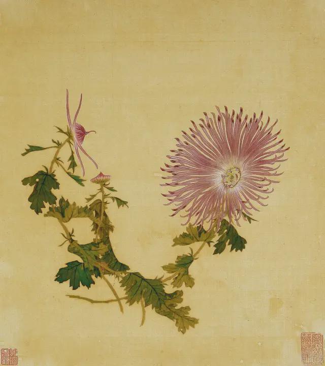 王延格：彩绘菊谱图册 名人名家 第29张